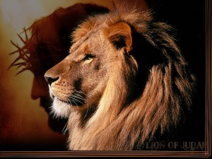 lionofjudah